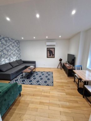 Appartement cosy neudorf climatisé WiFi 90m2